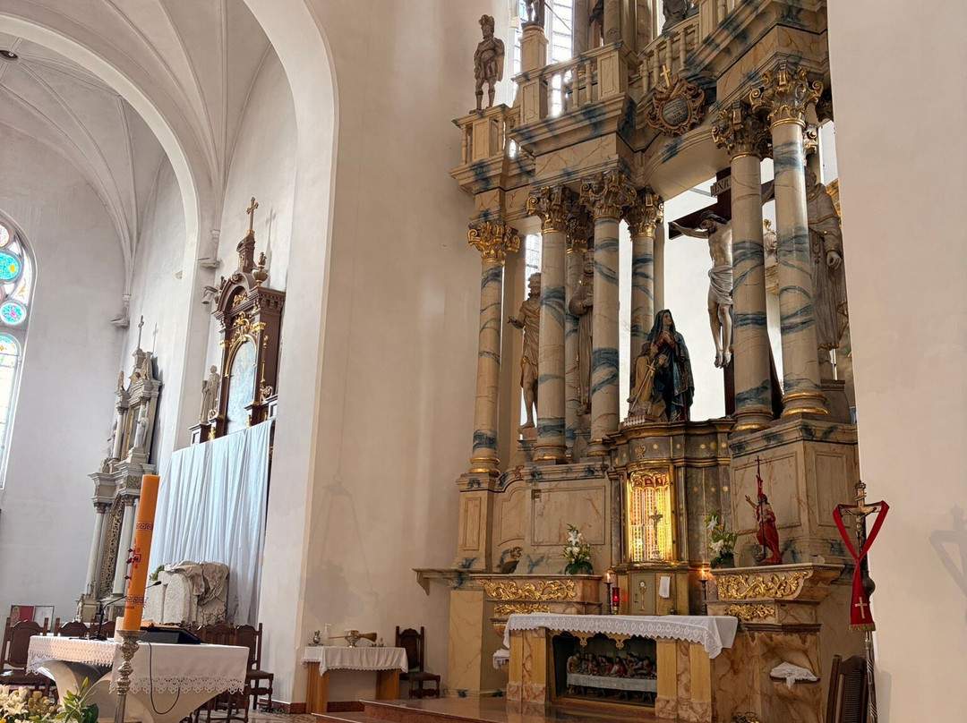 Ensemble of the Franciscan monastery and Church-Kretinga必去景点