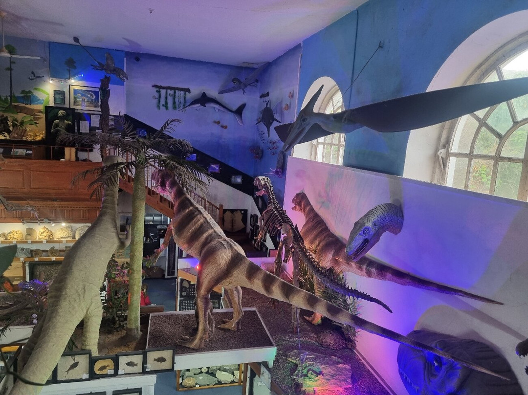 Dinosaurland Fossil Museum-莱姆里杰斯必去景点