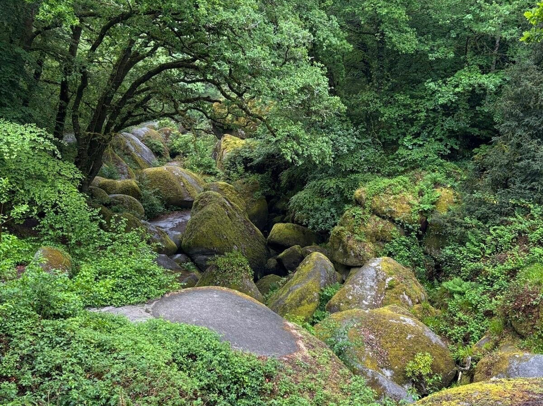 Foret de Huelgoat-Huelgoat必去景点