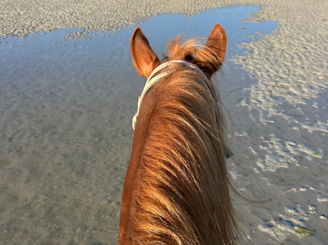 Ranch Yassmina Djerba La Douce-米栋必去景点