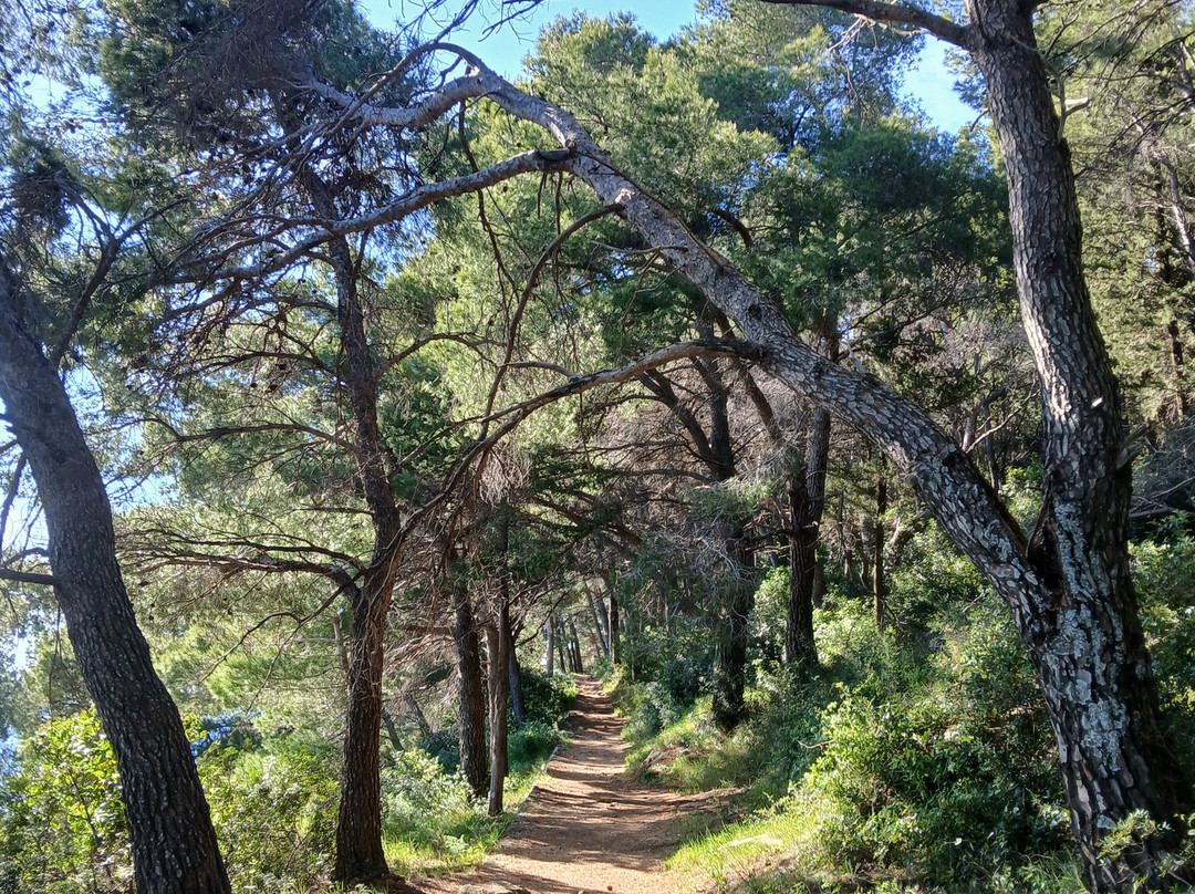 Cavtat Old Town-察夫塔特必去景点