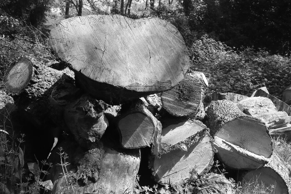 Longstock Water Gardens-Stockbridge必去景点