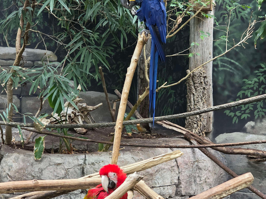 Louisville Zoo-路易斯维尔必去景点