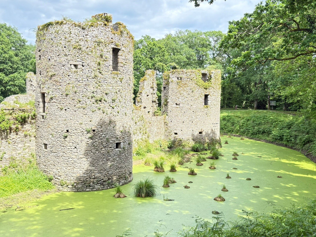 Château de Ranrouët-Herbignac必去景点