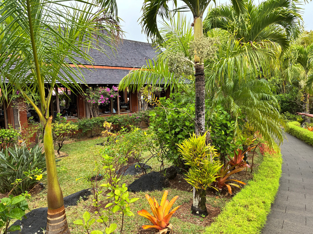 Paradisio Excursions Ile Maurice-大湾必去景点