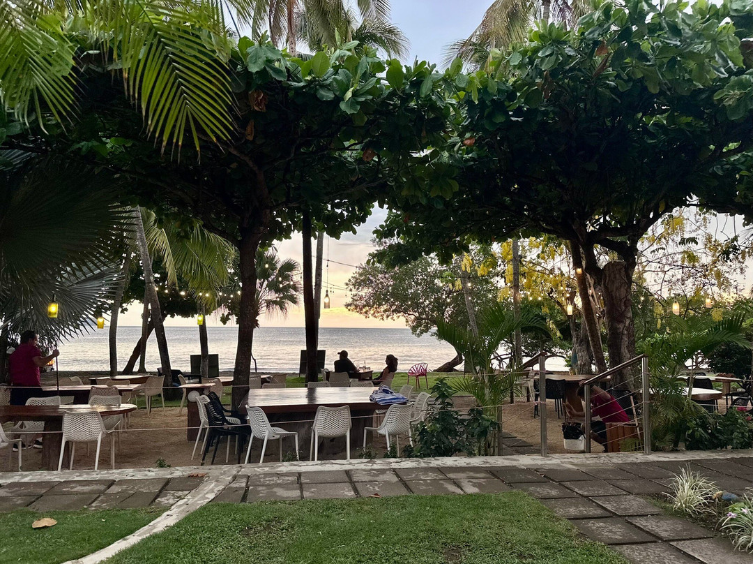 Hotel la Gaviota Tropical主图