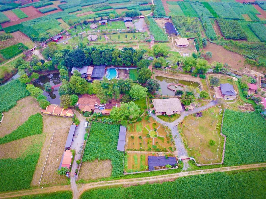 Wonder Farm Ba Vì - Edu & Retreat