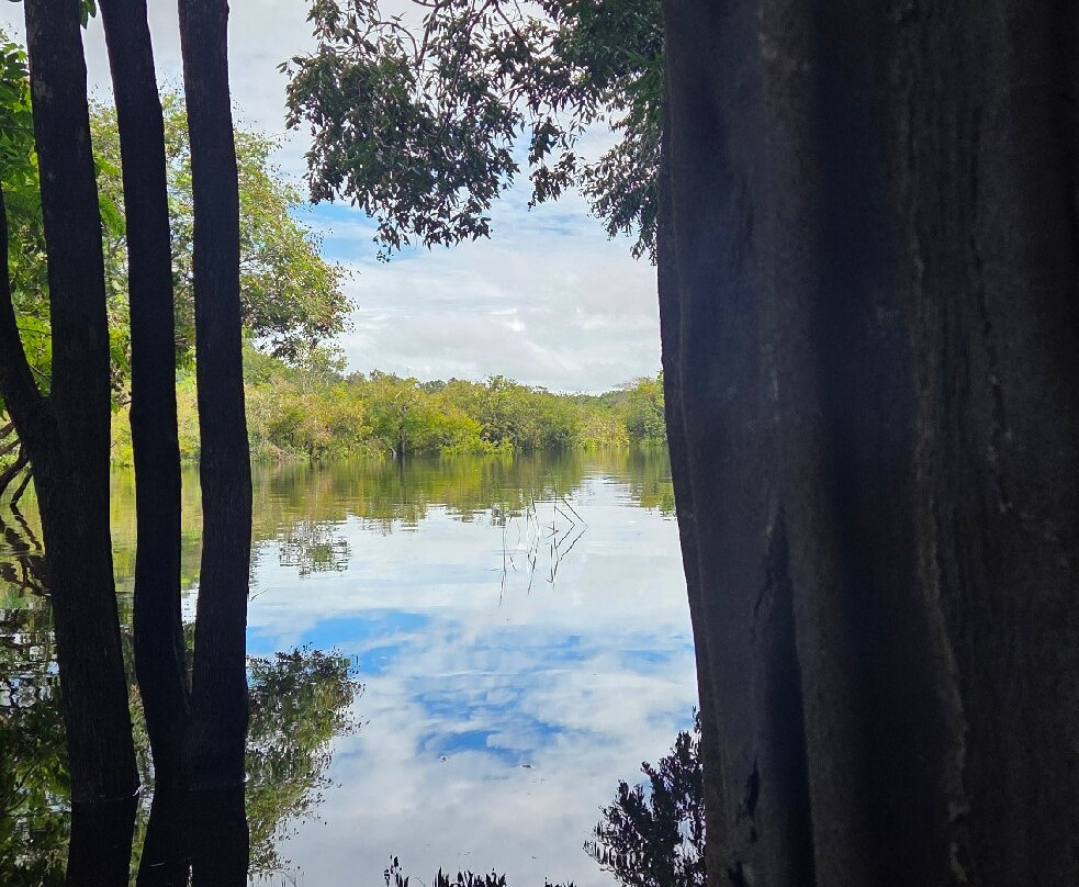 Amazon Green Tours-玛瑙斯必去景点