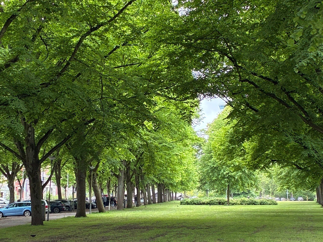 Het Park-鹿特丹必去景点