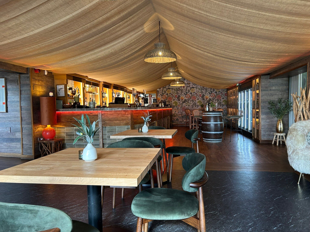 Olive wine bar and tapas