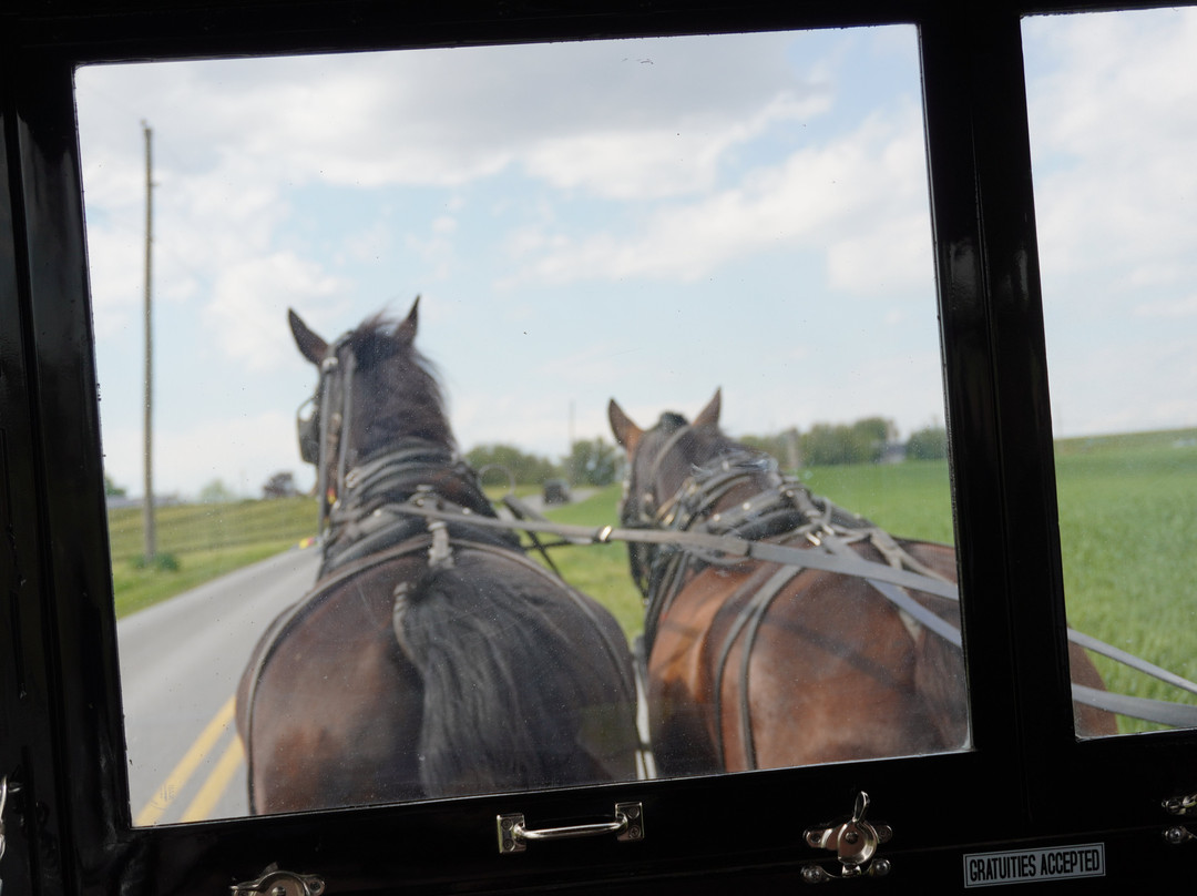 AAA Buggy Rides-Intercourse必去景点