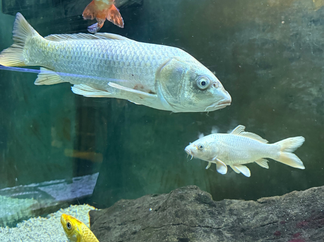 Aquarium Terrarium-克尔克必去景点