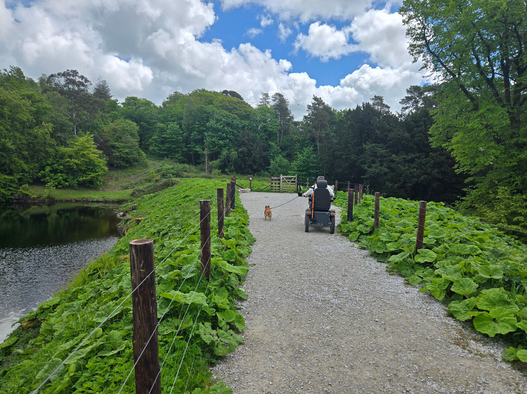 Ingleborough Estate Nature Trail-Clapham必去景点