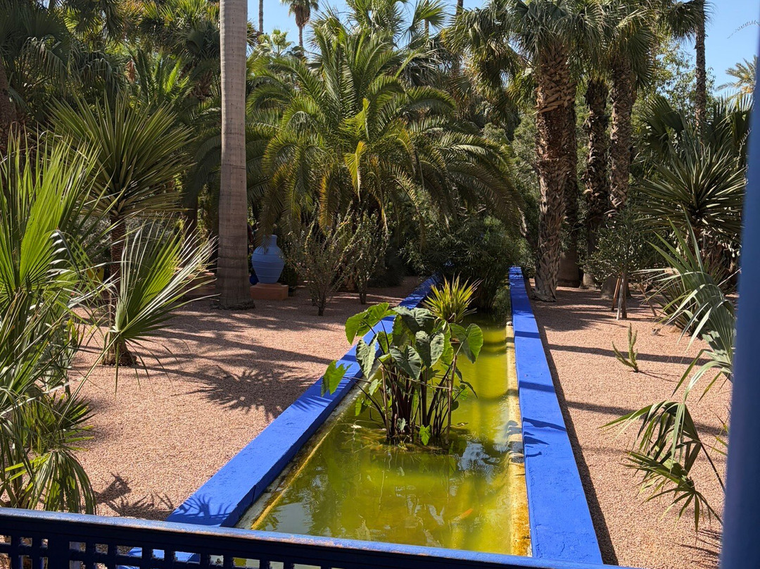 Desert Unlimited Morocco - Day Tours-瓦尔扎扎特必去景点