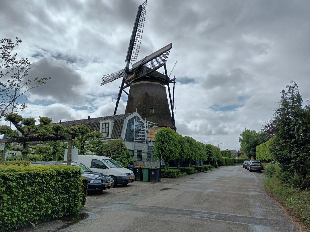 Korenmolen "De Ruiter"-Vreeland必去景点