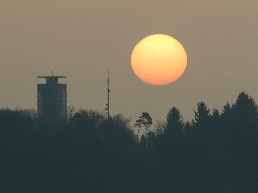 Napoleonturm Hohenrain-Waldi必去景点