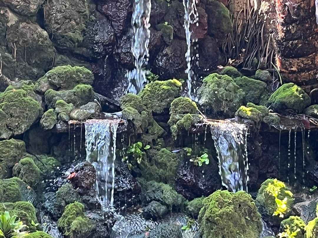 Sunken Gardens-圣彼德斯堡必去景点