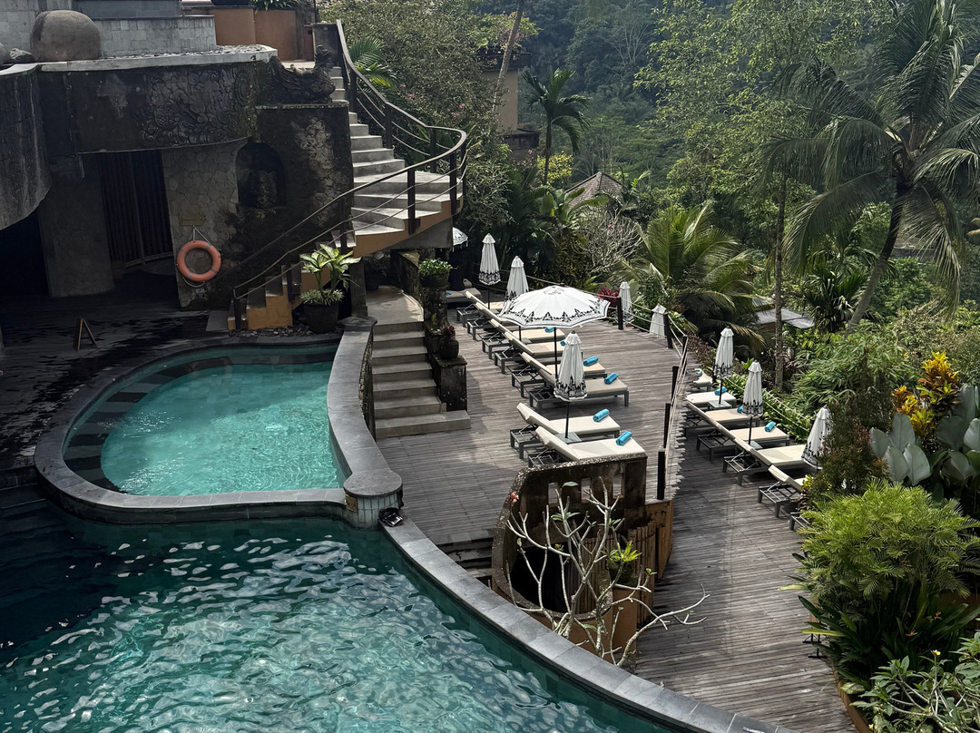 Wanna Jungle Pool and Bar-佩艳艮必去景点