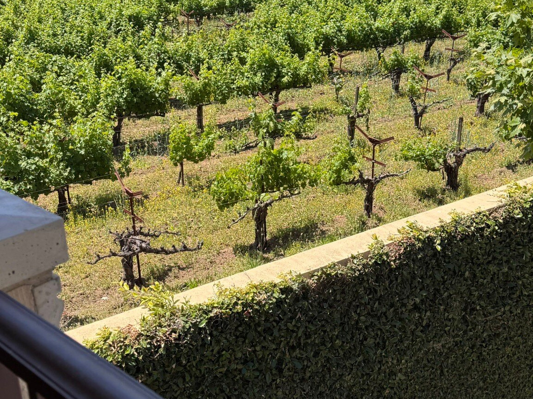 纳帕谷小屋酒店主图