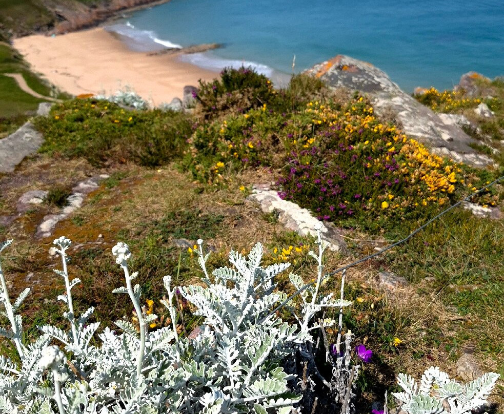 Randonnées Plages Sauvages-Erquy必去景点