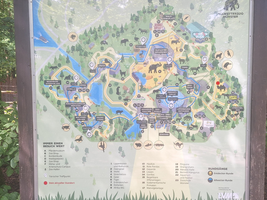 Allwetterzoo Munster-明斯特必去景点