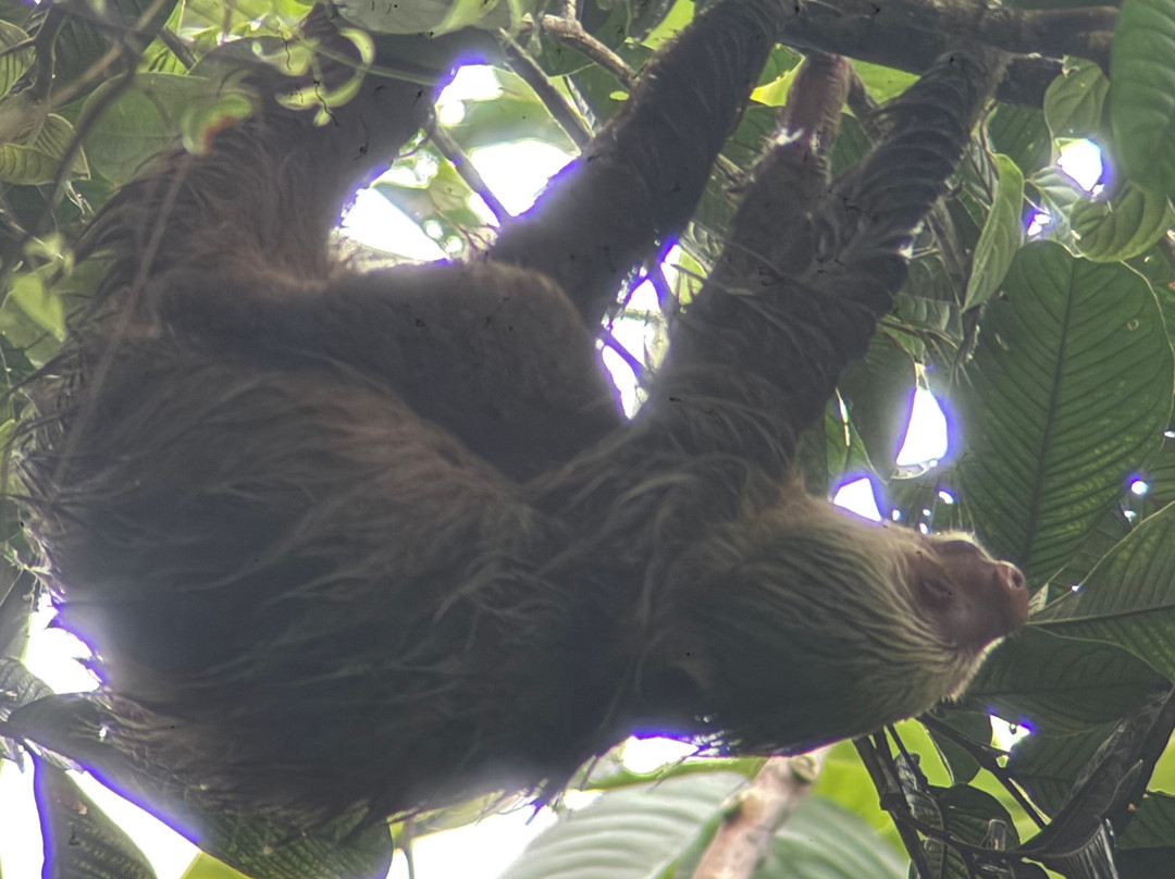 Ecogarden Arenal Family Project-福德圣卡洛斯必去景点