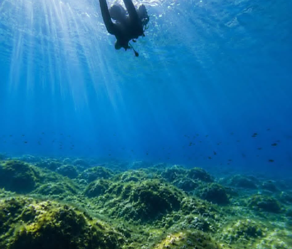 Connex Diving-Stara Novalja必去景点