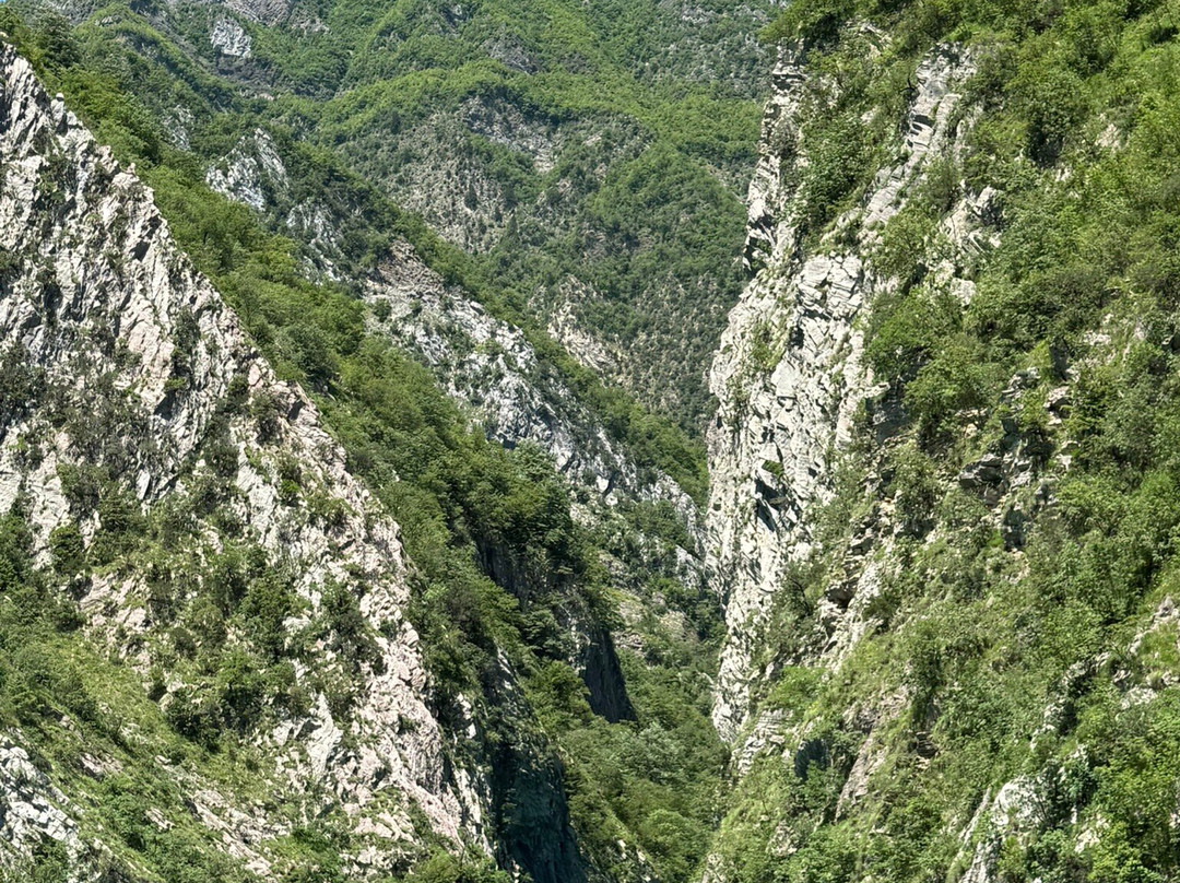 Rozafa Boat Tours-Vau i Dejes必去景点