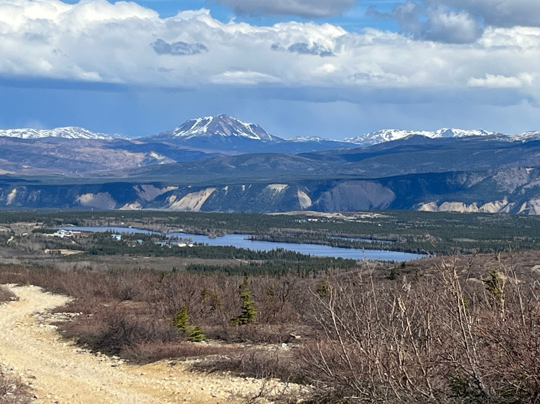 Denali Fat Truck Tours LLC-希利必去景点