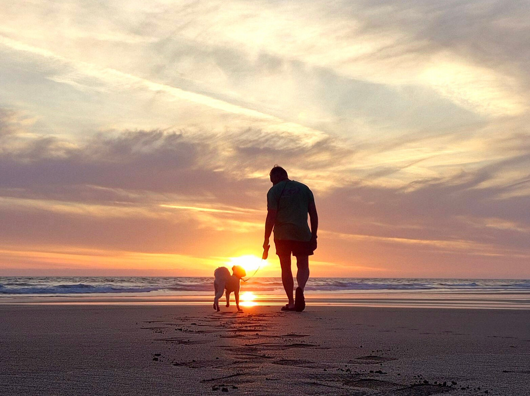 Tommy Jacks Beach Apartments主图