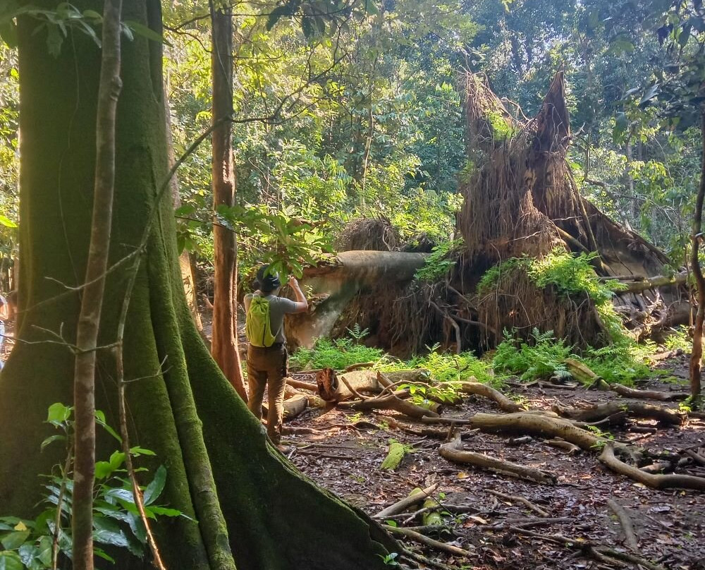 Ujung Kulon Tourism-Carita必去景点