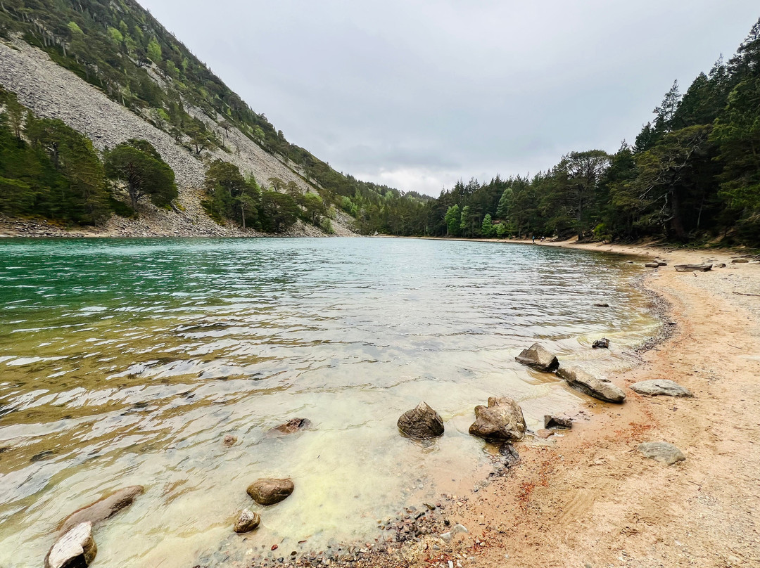 An Lochan Uaine-阿维莫尔必去景点
