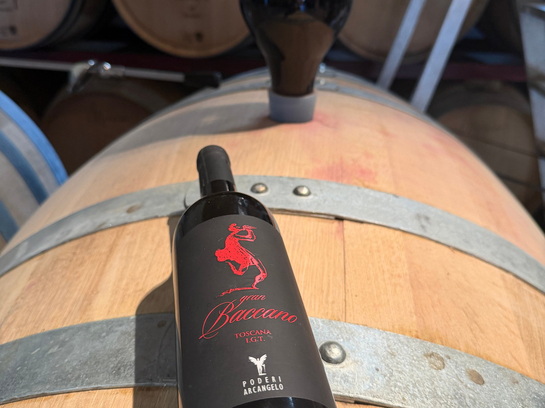 Poderi Arcangelo Winery-圣吉米尼亚诺必去景点