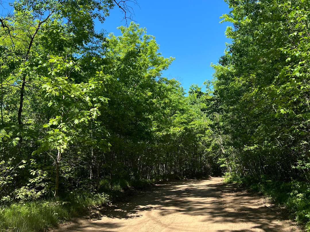Governor Thompson State Park-Crivitz必去景点