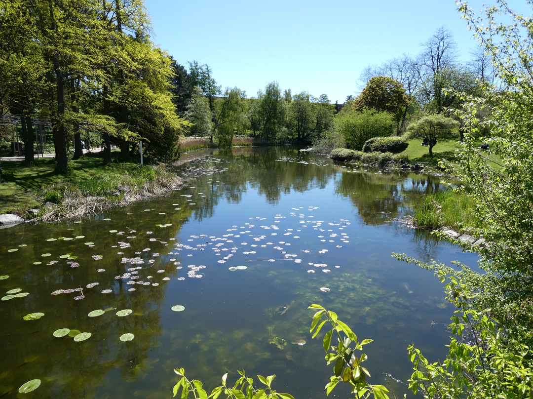 Botanical Garden-哥本哈根必去景点