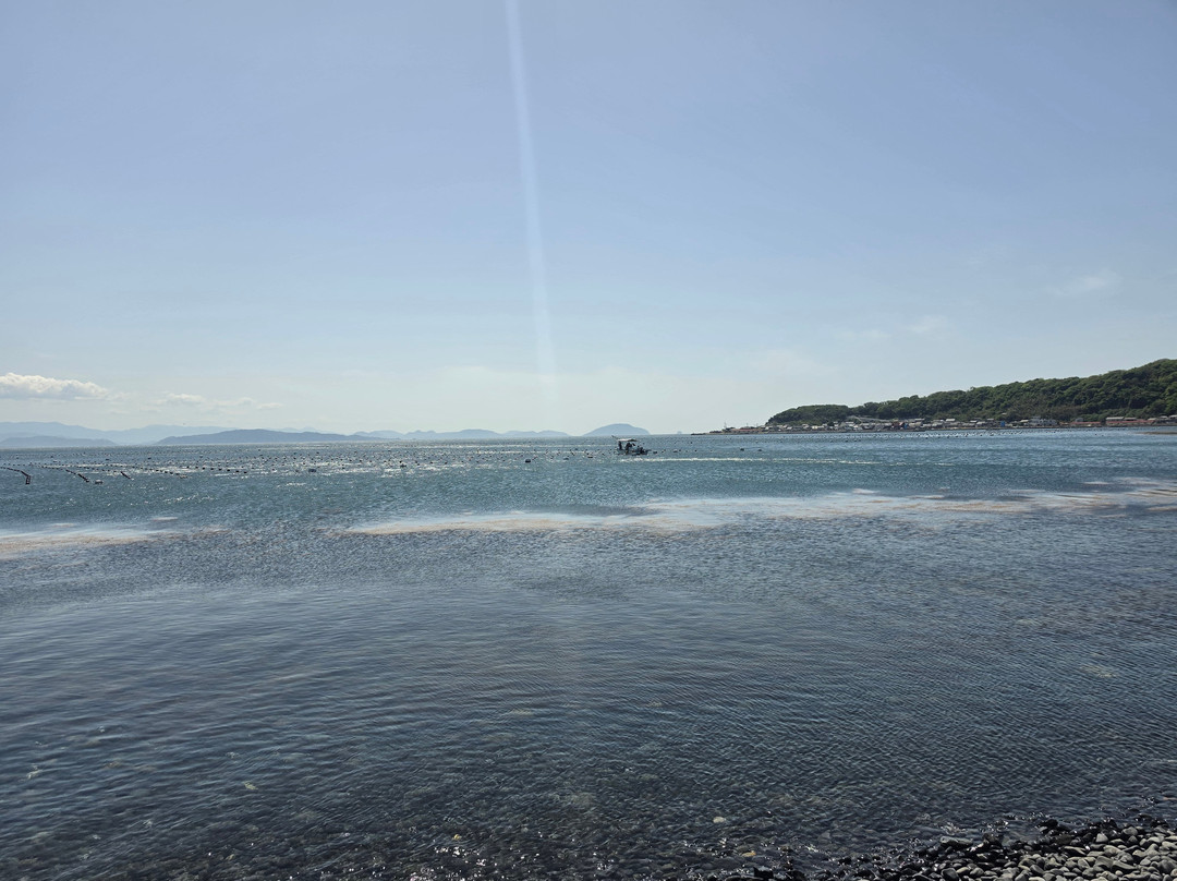 Ainoshima Island-新宫町必去景点