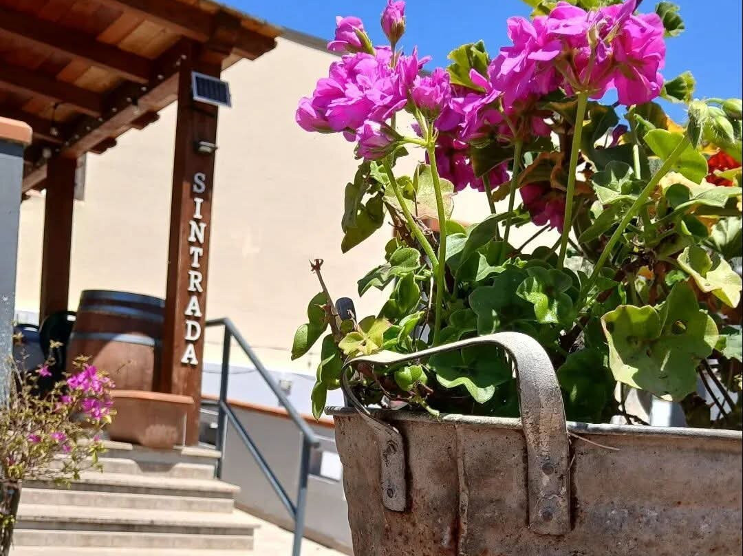S'intrada Bar Ristorante Pizzeria