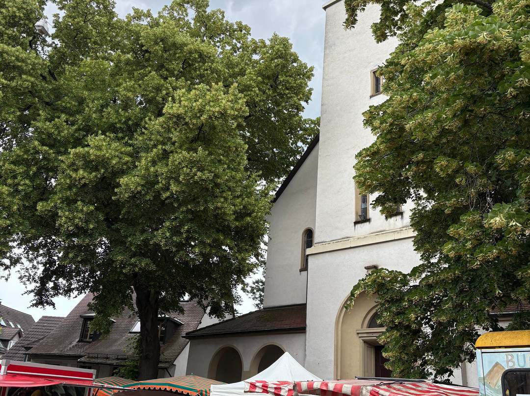 Freiburg Tourist Information Centre-佛莱堡必去景点
