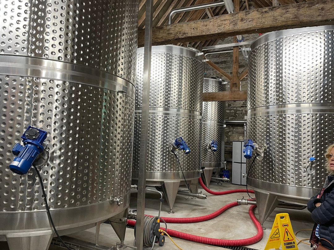 Witchmark Distillery-索尔兹伯里必去景点
