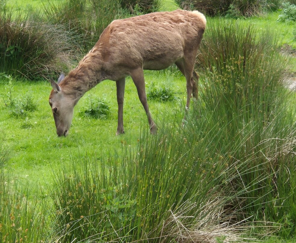 Walby Farm Park-Crosby on Eden必去景点