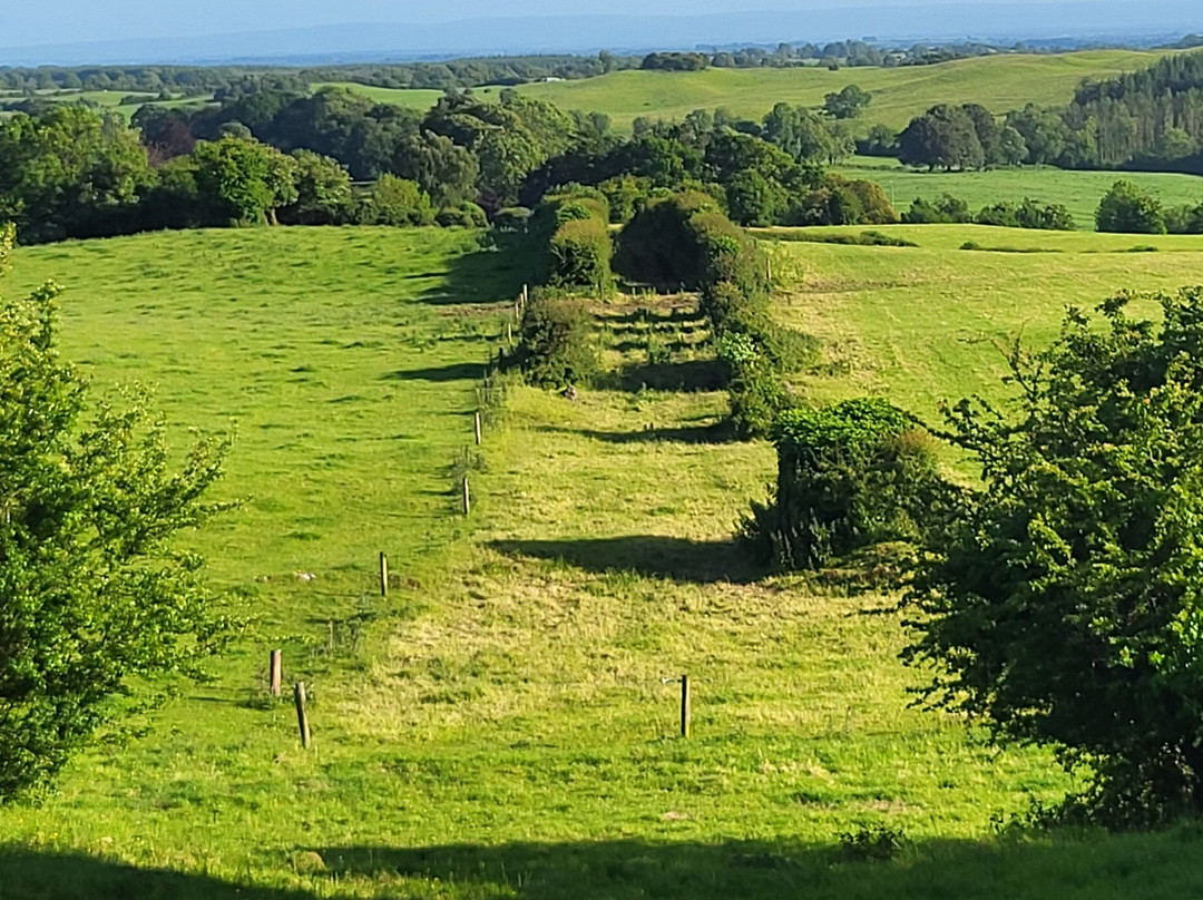 Hill of Uisneach-Killare必去景点