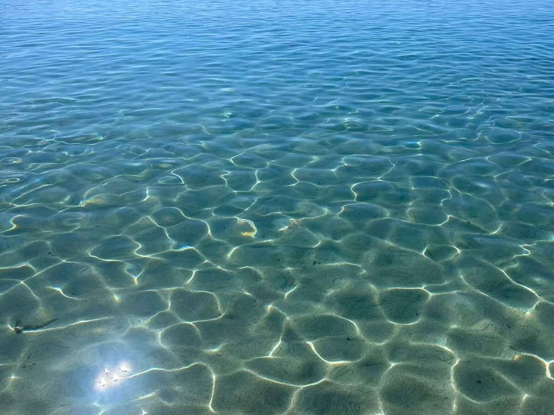 Spiaggia di Fetovaia-Campo nell'Elba必去景点