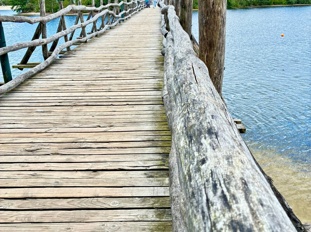 Center Parcs de Vossemeren-洛默尔必去景点