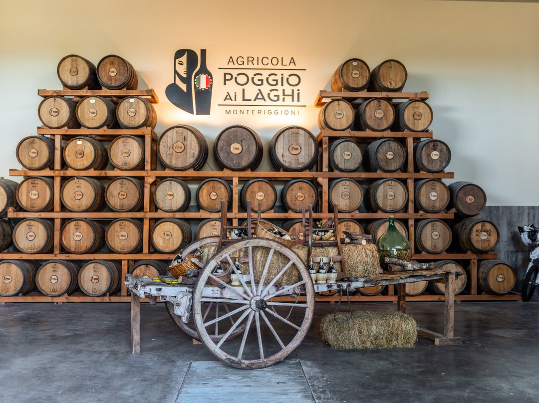 Agricola Poggio Ai Laghi-蒙特里久尼必去景点