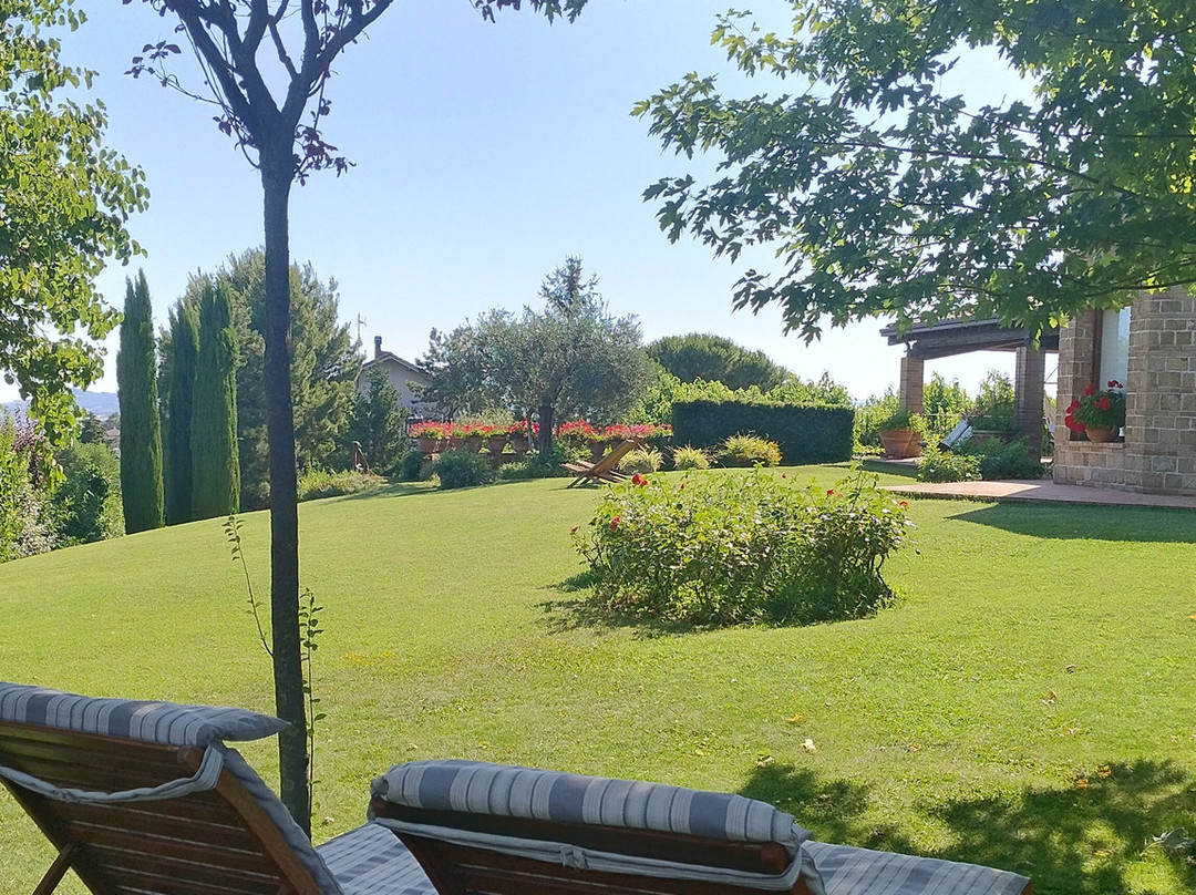 Il Giardino Delle Rose主图