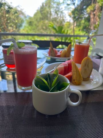 森林边缘酒店-旅行者