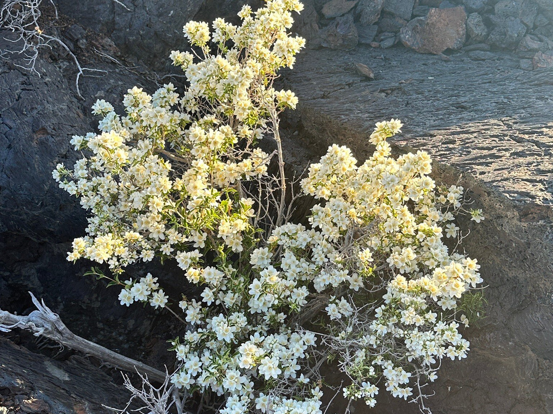 Craters of the Moon National Monument-Arco必去景点