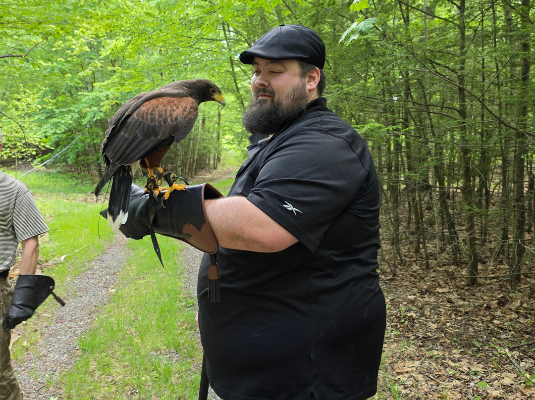 Monadnock Falconry-Temple必去景点