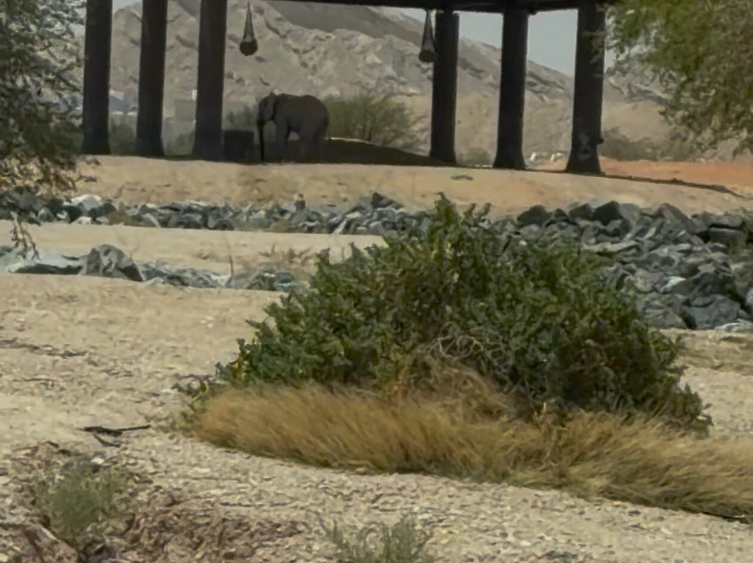 Al Ain Zoo 2017 2018 2019-艾因市必去景点