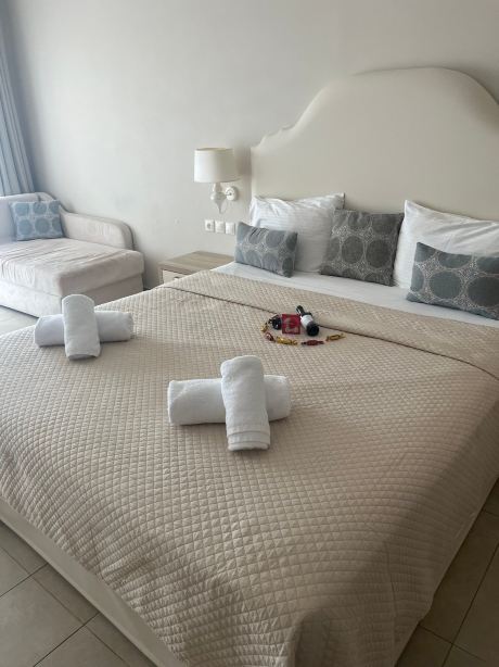 Skiathos Premier Hotel-旅行者